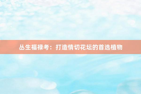 丛生福禄考:打造情切花坛的首选植物